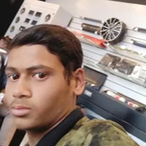 Anish Enterprises